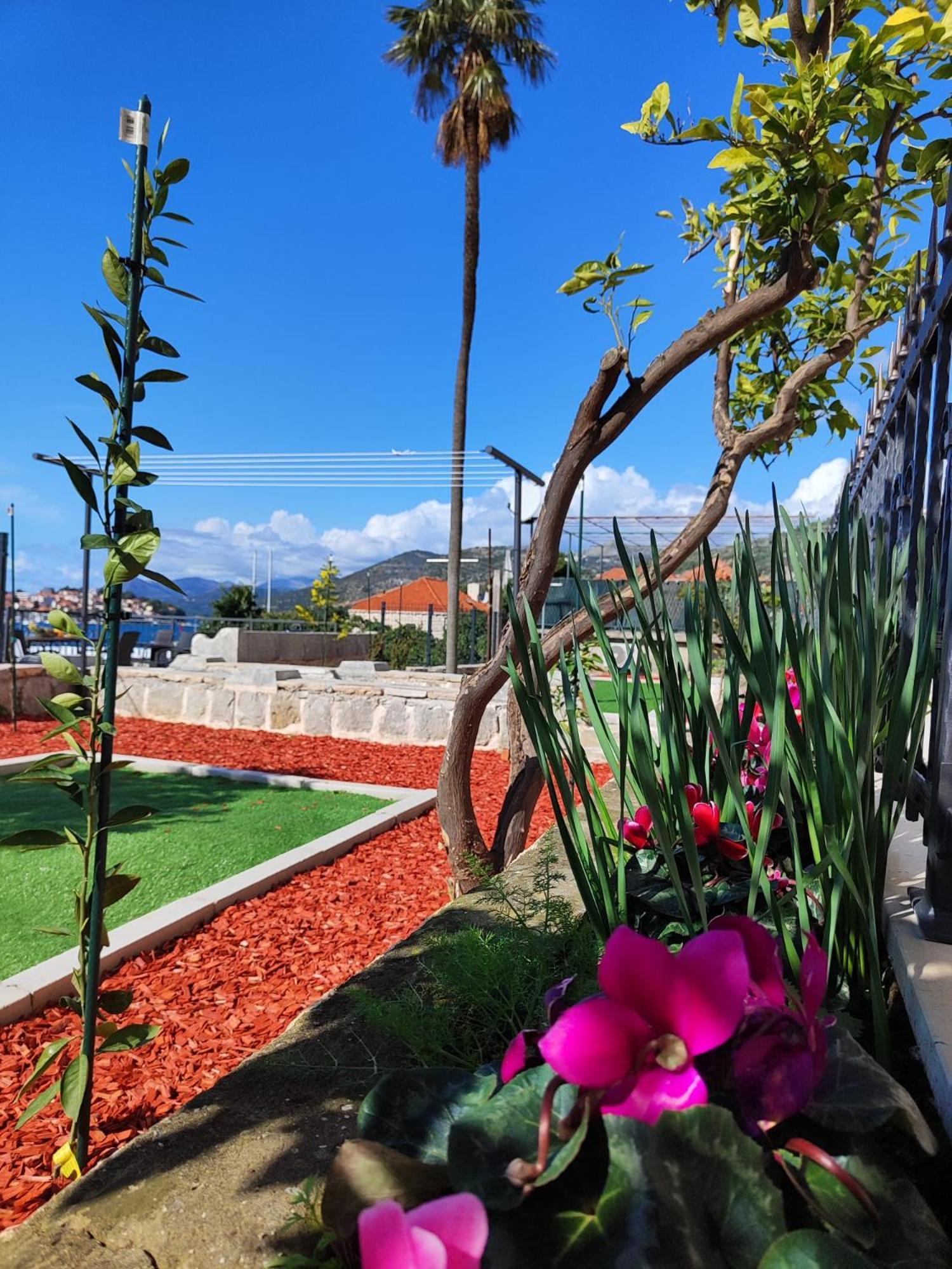דוברובניק Apartments Harriet מראה חיצוני תמונה